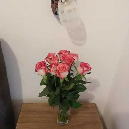 R&b * 자다르